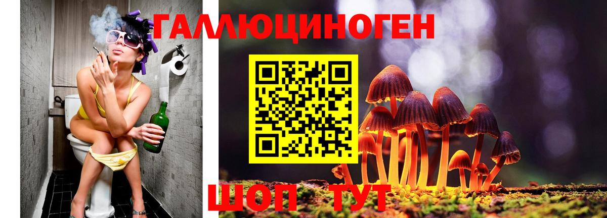 Галлюциногенные грибы Psilocybe  Вход с VPN  Можайск 